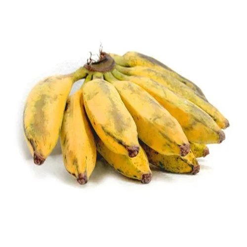 Sirumalai Banana Plant Indoor Sweet Yellow Banana Exotic Rare Plants Green