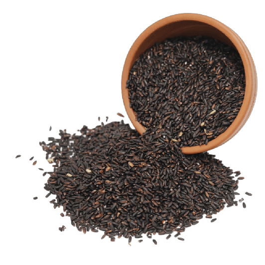 Organics Karuppu Kavuni Rice | Black Rice | Low GI |Traditional Kavuni Arisi (Weight: 1kg)